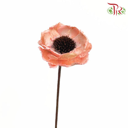 Dry Corn Poppy - Peach - Pudu Ria Florist Southern