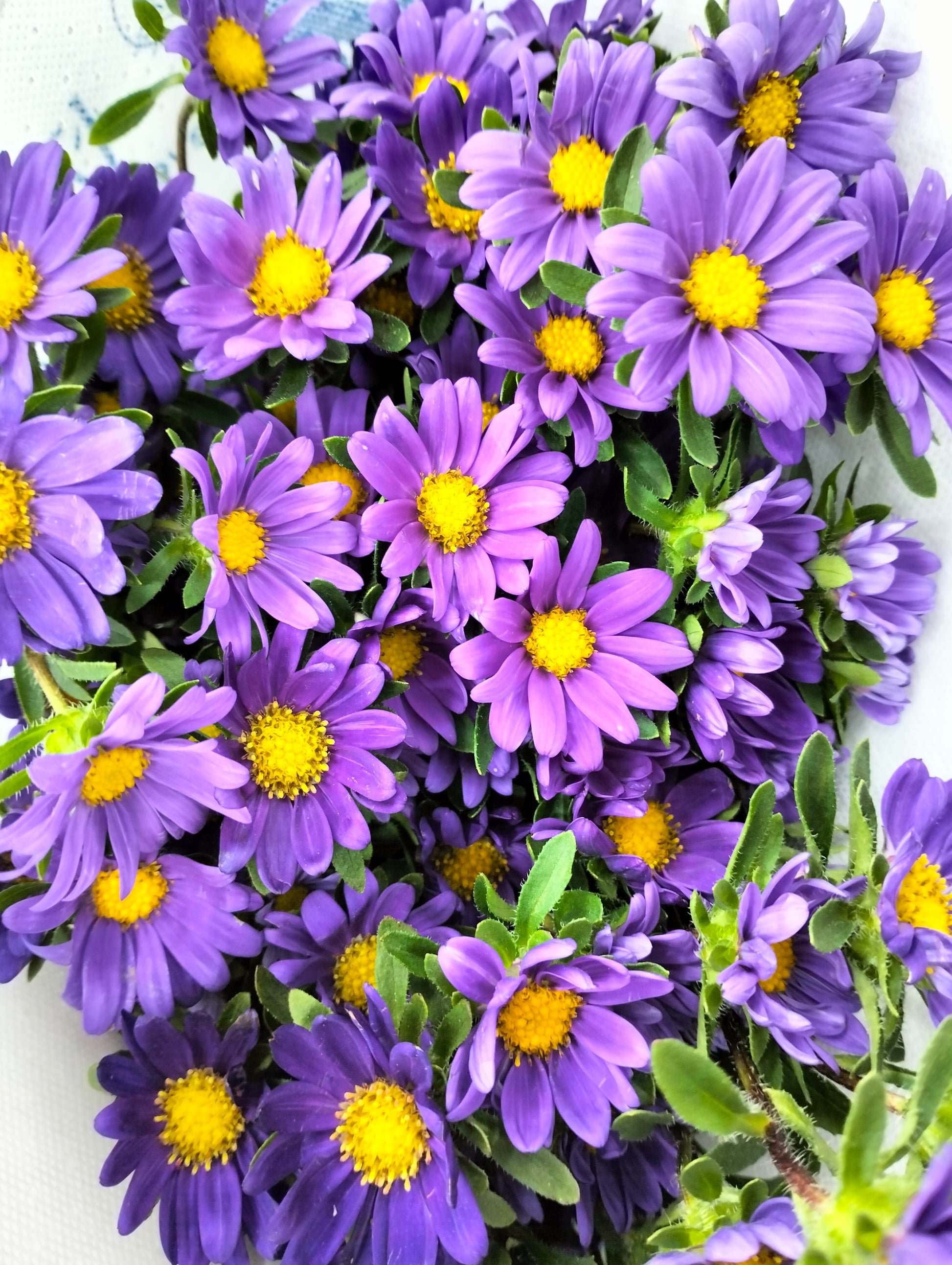 Hana Purple - Pudu Ria Florist Southern