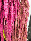 Amaranthus Red - Pudu Ria Florist Southern