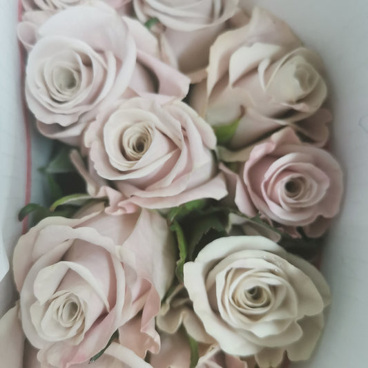 Rose Manta (8-10 Stems) - Pudu Ria Florist Southern