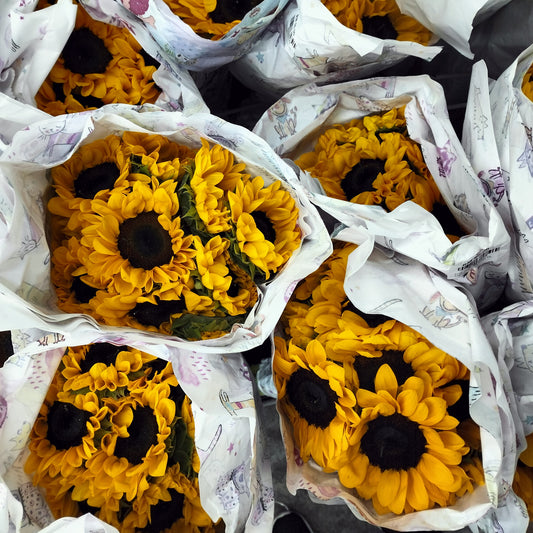 Sunflowers (10 Stems) - Pudu Ria Florist Southern