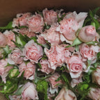 Rose Spray Shelby (8-10 Stems) - Pudu Ria Florist Southern