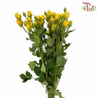 Rose Spray Yellow (8-10 Stems) - Pudu Ria Florist Southern