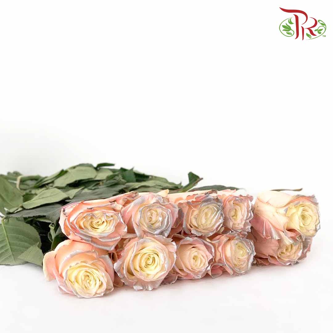 Rose Sky Pearl (8-10 Stems) - Pudu Ria Florist Southern