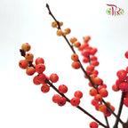 Ilex Red (60cm) - 5 Stems - Pudu Ria Florist Southern