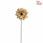 Dry Lingjian Lotus - Natural - Pudu Ria Florist Southern