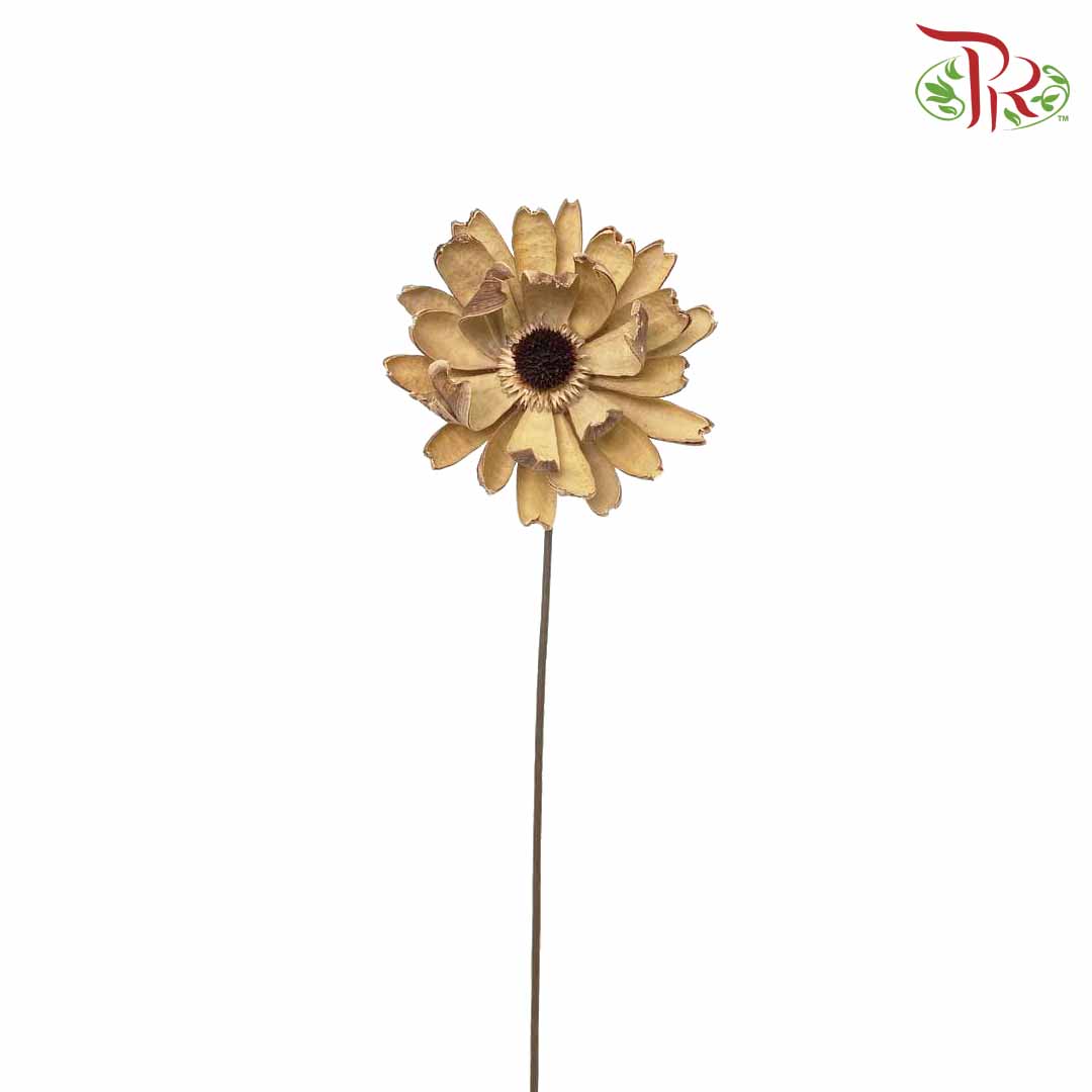 Dry Lingjian Lotus - Natural - Pudu Ria Florist Southern