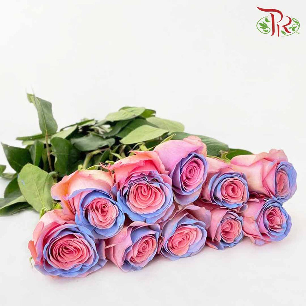 Rose Pink Blue Heaven (8-10 Stems) - Pudu Ria Florist Southern