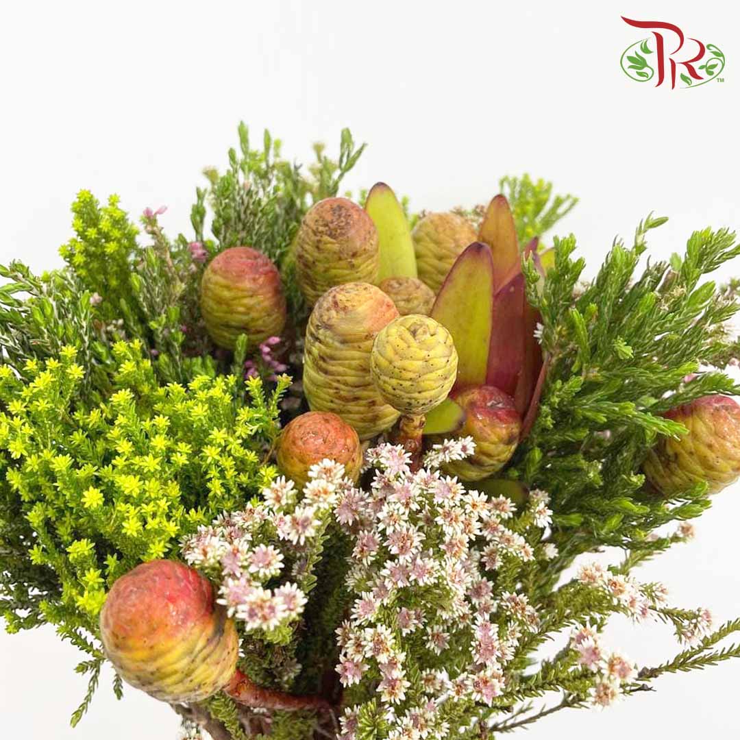 Safari Mix Cone / Cape Cone - Pudu Ria Florist Southern