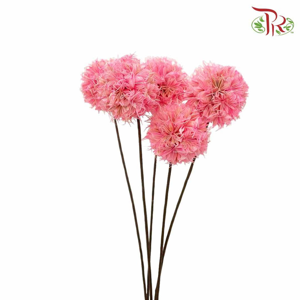 Dry Octagonal Ball - Pink - Offer Item - Pudu Ria Florist Southern