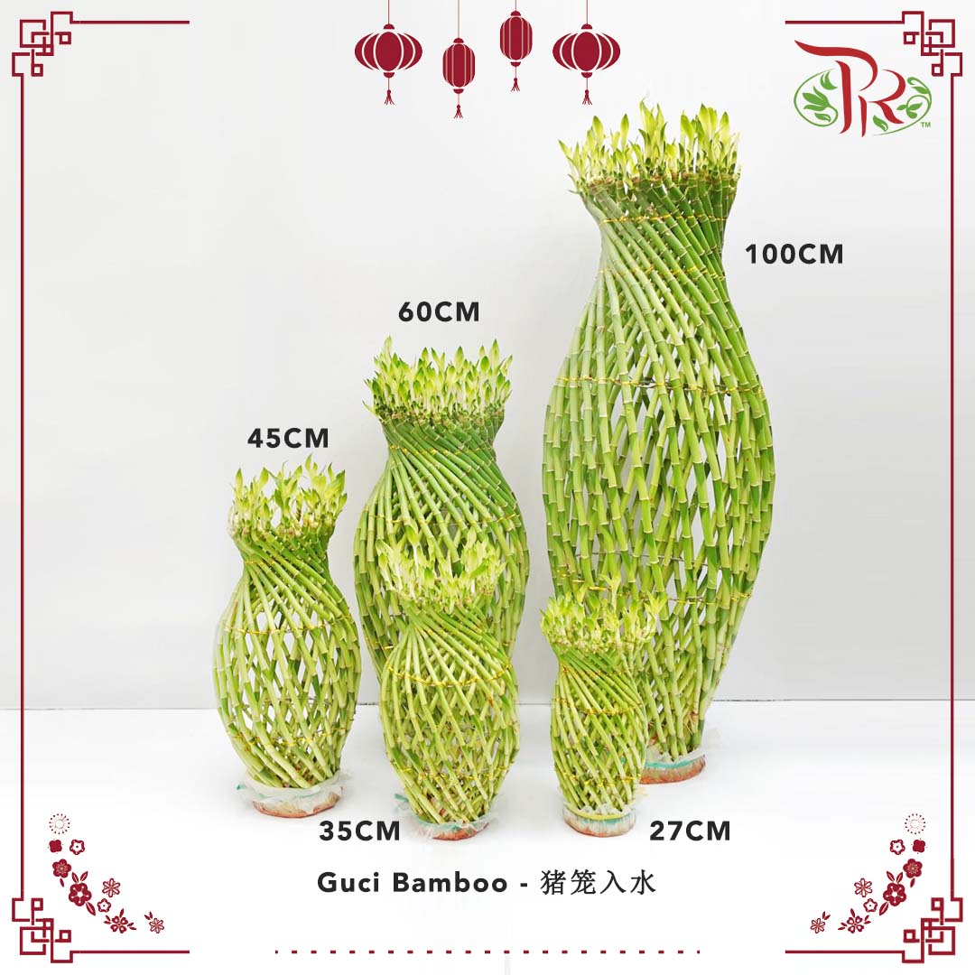 Guci Bamboo (猪笼入水) - 100CM (H) - Pudu Ria Florist Southern