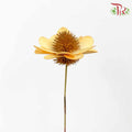 Dry Stella Luna - Orange - Pudu Ria Florist Southern
