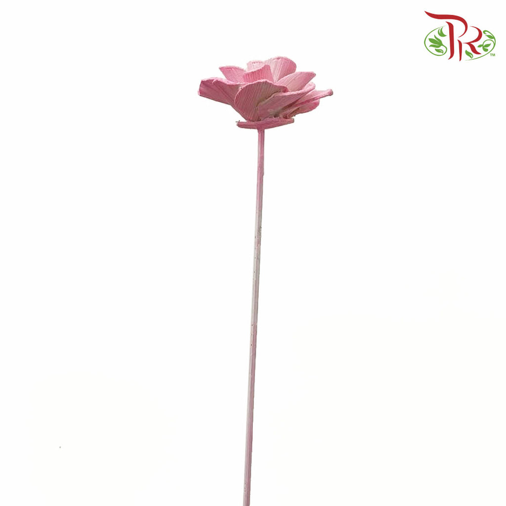 Dry Wood Rose - Pink - Offer Item - Pudu Ria Florist Southern