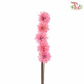 Dry Small Liju - Pink - Pudu Ria Florist Southern