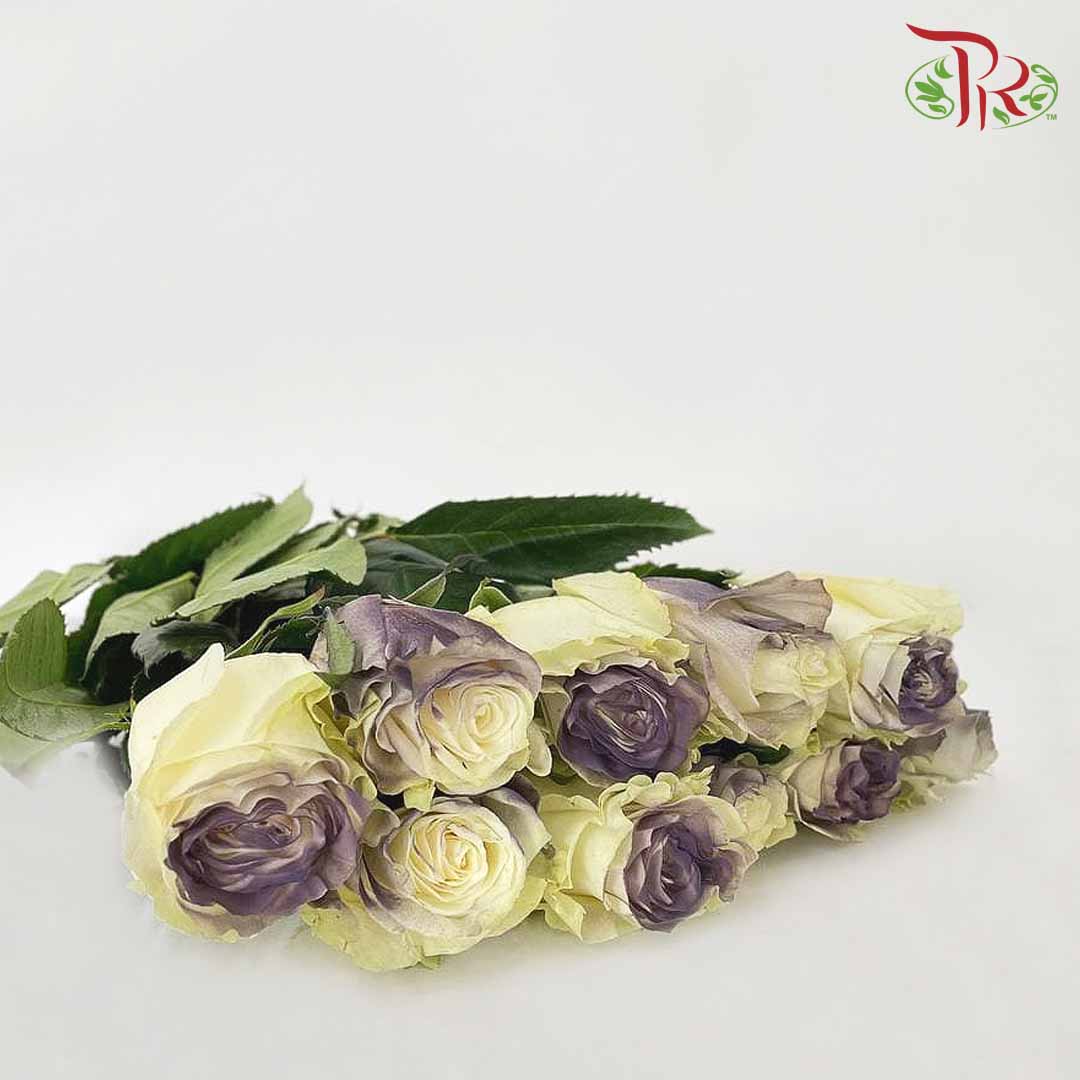 Rose Dark Grey Clouds (8-10 Stems) - Pudu Ria Florist Southern