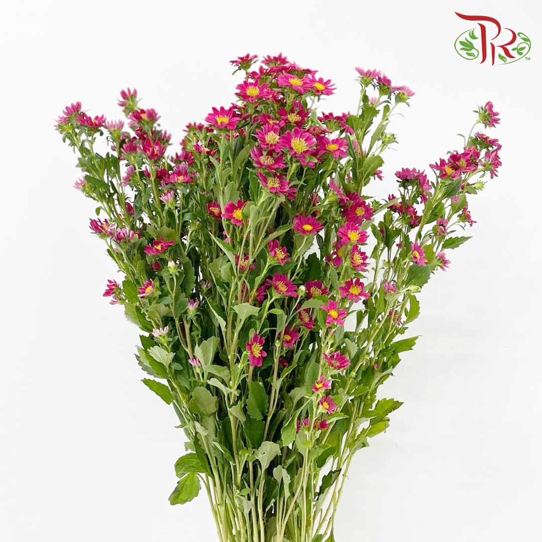 Hana Red - Pudu Ria Florist Southern