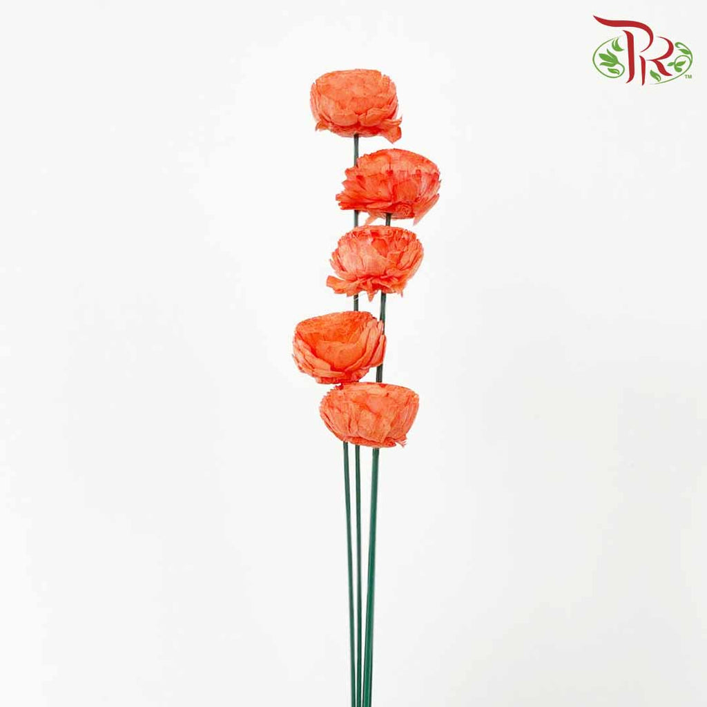 Dry Aeschynomene Aspera - Orange - Pudu Ria Florist Southern