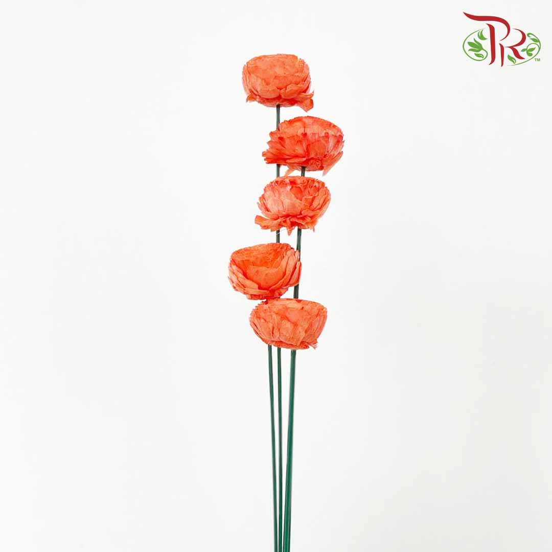 Dry Aeschynomene Aspera - Orange - Pudu Ria Florist Southern