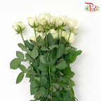 Rose White (19-20 Stems) - Pudu Ria Florist Southern