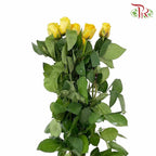 Rose Yellow (8-10 Stems) - Pudu Ria Florist Southern