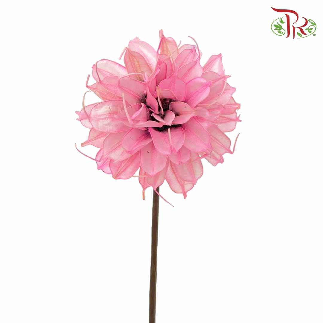 Dry Small Liju - Pink - Pudu Ria Florist Southern