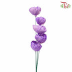 Dry Sola Rose Big - Purple - Pudu Ria Florist Southern