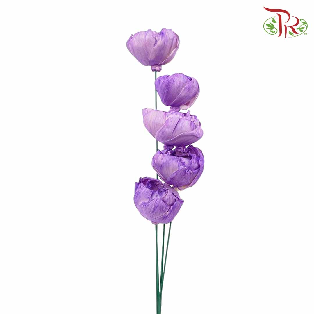 Dry Sola Rose Big - Purple - Pudu Ria Florist Southern