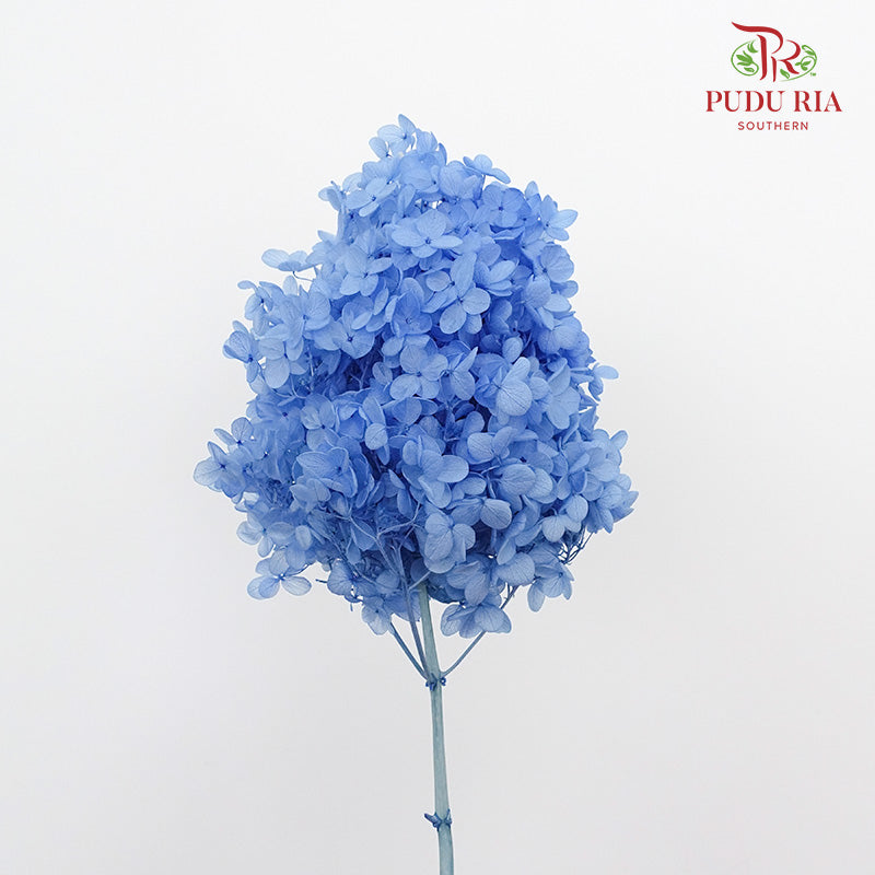 Preservative Hydrangea - Light Blue ( Long Shape ) / Per Stem - Pudu Ria Florist Southern