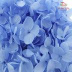 Preservative Hydrangea - Light Blue ( Long Shape ) / Per Stem - Pudu Ria Florist Southern