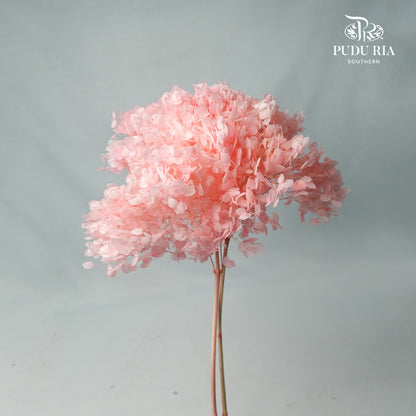 Preservative Hydrangea - Light Bright Pink / Per Stem - Pudu Ria Florist Southern