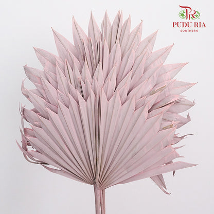 Dry Palm Dyed Light Purple (5 Stems) - Offer Item - Pudu Ria Florist Southern