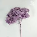 Preservative Hydrangea - Light Purple / Per Stem - Pudu Ria Florist Southern