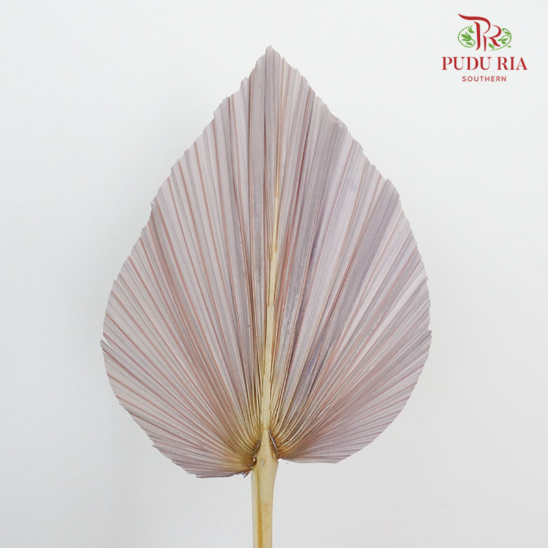 Dry Palm Dyed Light Purple (5 Stems) - Pudu Ria Florist Southern