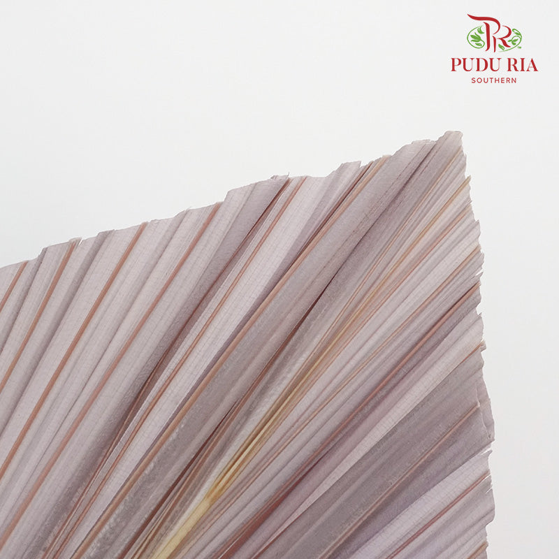 Dry Palm Dyed Light Purple (5 Stems) - Pudu Ria Florist Southern