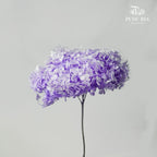 Preservative Hydrangea - Two Toned Light Purple / Per Stem - Pudu Ria Florist Southern