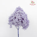 Preservative Hydrangea - Lilac ( Long Shape ) / Per Stem - Pudu Ria Florist Southern