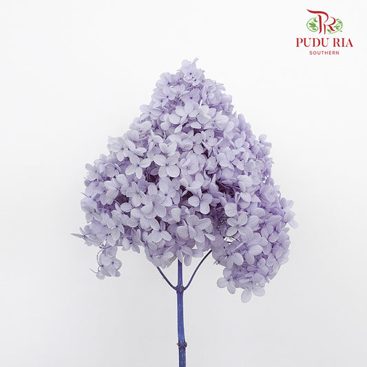 Preservative Hydrangea - Lilac ( Long Shape ) / Per Stem - Pudu Ria Florist Southern