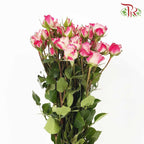 Rose Spray Reflex (8-10 Stems) - Pudu Ria Florist Southern