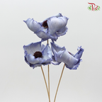 Preservative Palm Flower - Blue - Pudu Ria Florist Southern