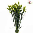 Carnation Spray Yellow (18-20 Stems) - Pudu Ria Florist Southern