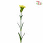 Carnation Yellow (18-20 Stems)