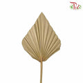 Dry Spear Palm (M) - Pudu Ria Florist Southern