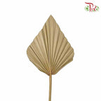 Dry Spear Palm (M) - Pudu Ria Florist Southern