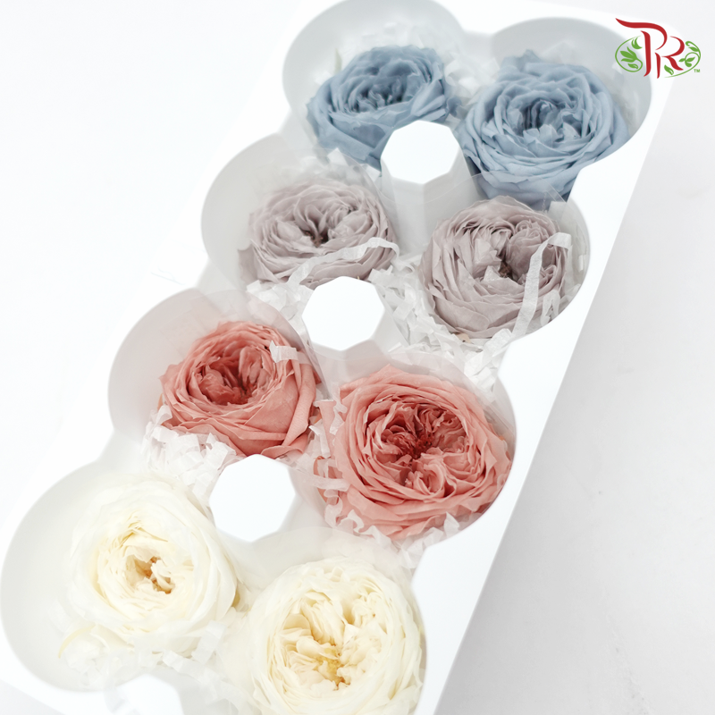 Preservative Rose Temari - Mixed Color (8 Blooms) - Pudu Ria Florist Southern