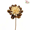 Dry Dahlia - Brown and White - Pudu Ria Florist Southern