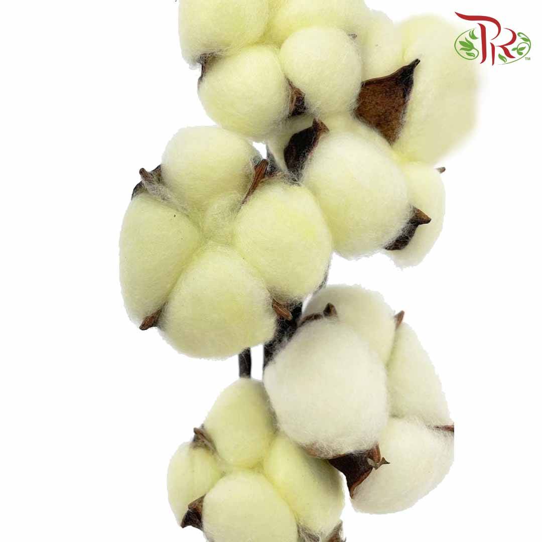 Cotton Flower Dyed Colour - Yellow - Pudu Ria Florist Southern