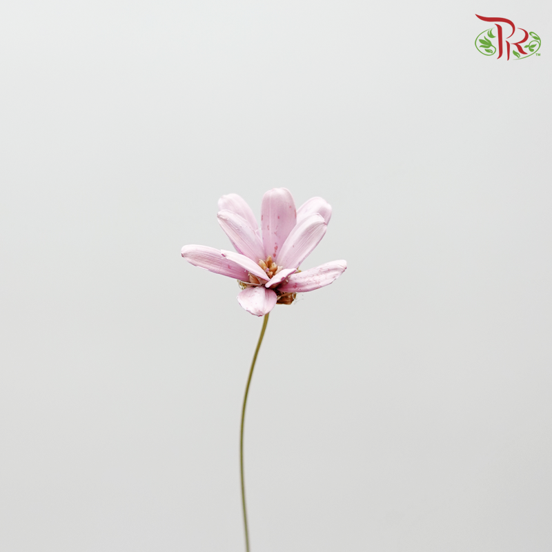 Preservative Petite Flower - Pink - Pudu Ria Florist Southern