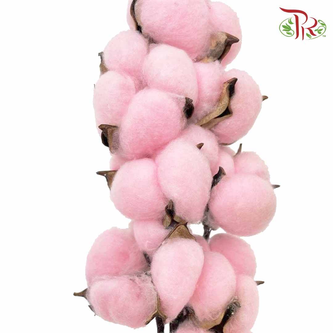 Cotton Flower Dyed Colour - Pink - Pudu Ria Florist Southern