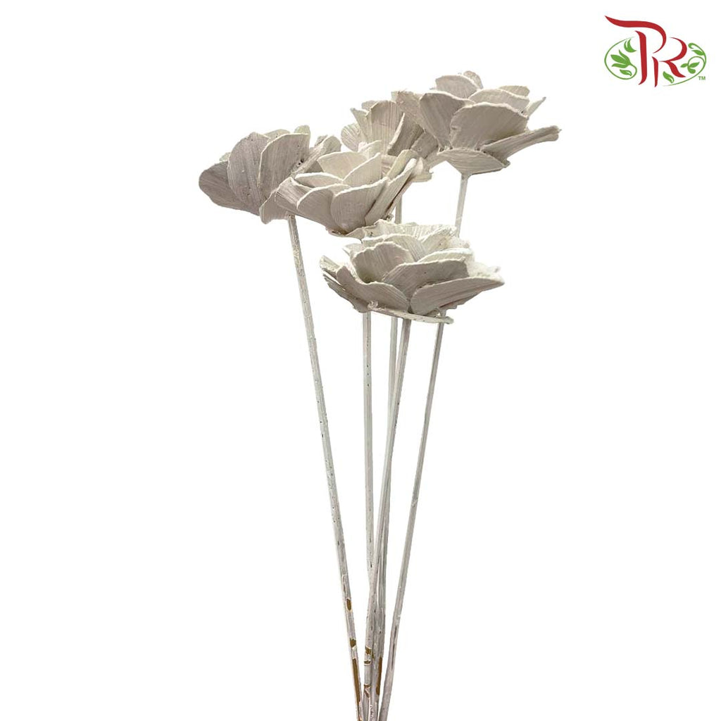Dry Wood Rose - White - Offer Item - Pudu Ria Florist Southern
