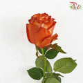 Rose Brig (8-10 Stems) - Pudu Ria Florist Southern
